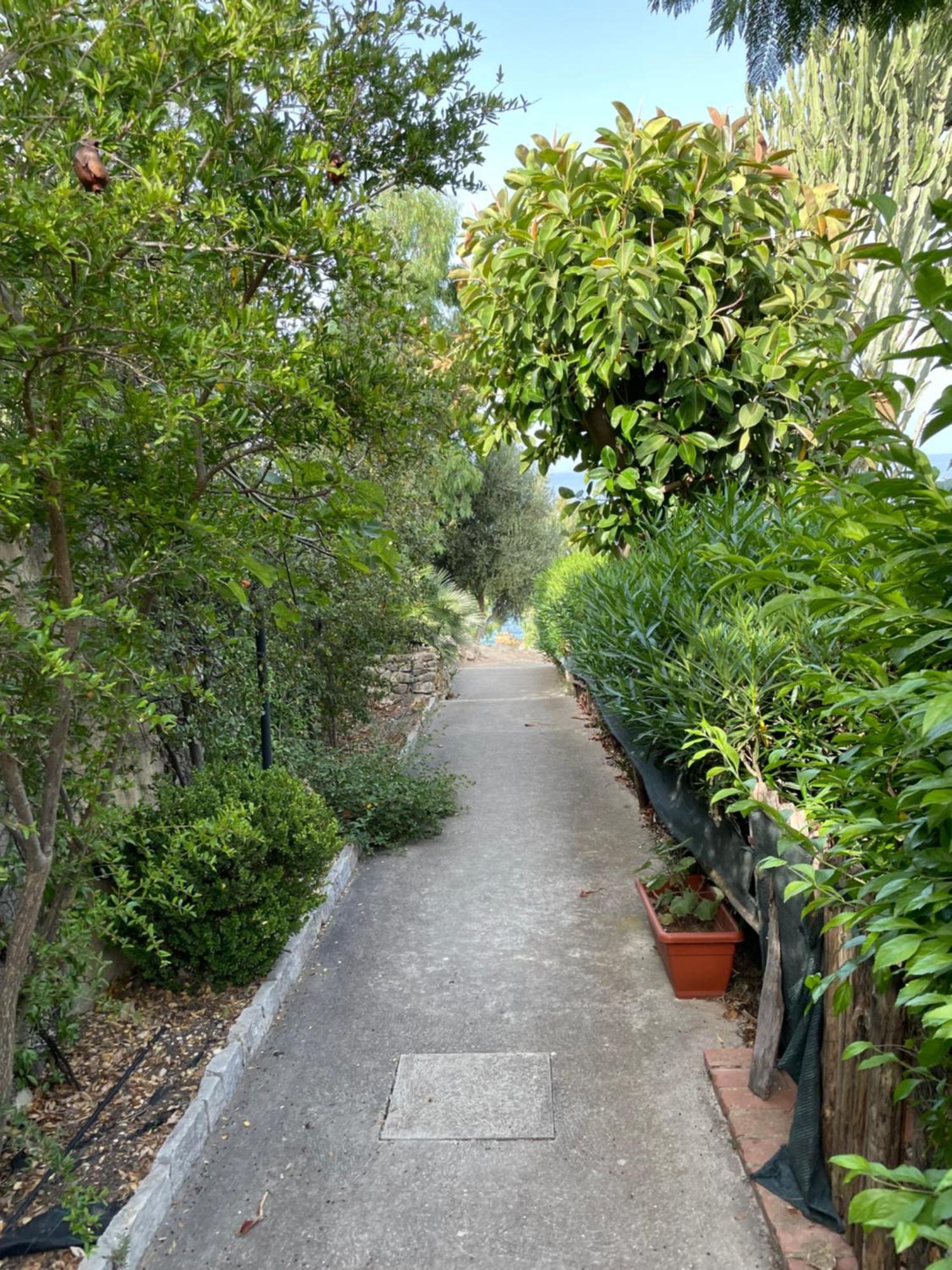 סקופלו Villa Hibiscus Scopello מראה חיצוני תמונה