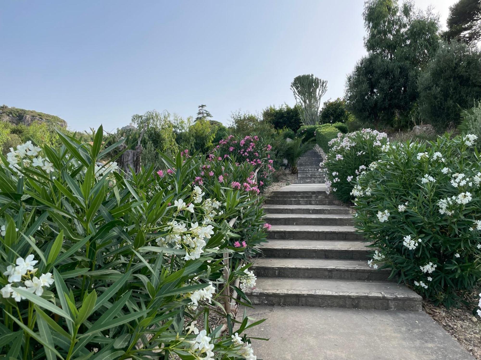 סקופלו Villa Hibiscus Scopello מראה חיצוני תמונה